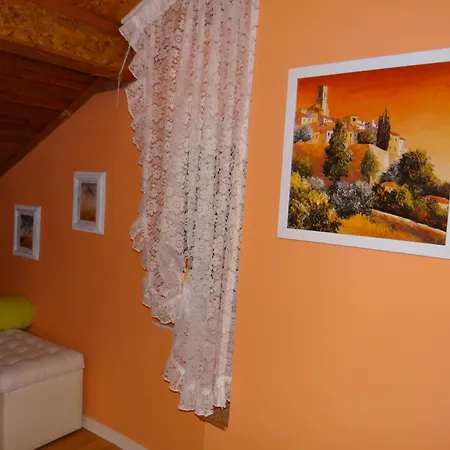 Orange Flower Sofia