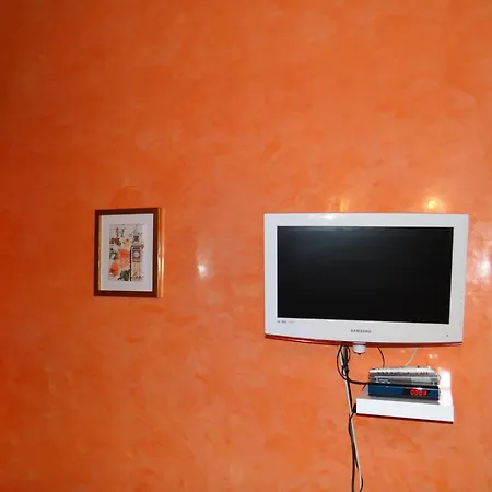 Orange Flower