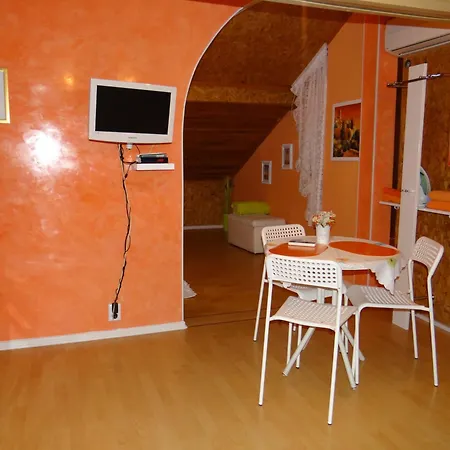 Apartment Orange Flower *