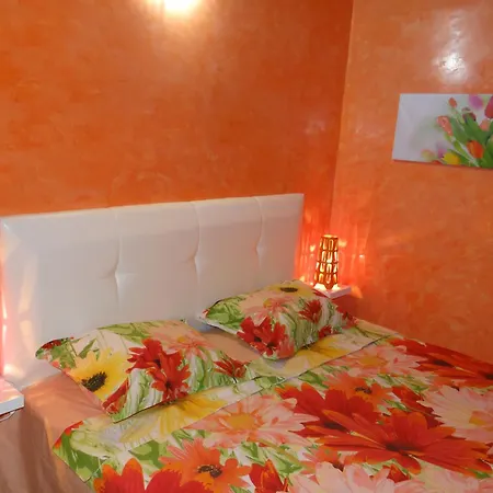 Apartment Orange Flower Sofia