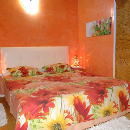 Orange Flower Apartment *