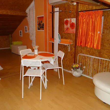 Orange Flower Apartment Sofia