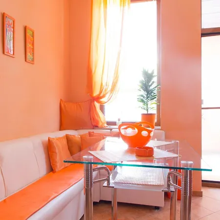 Orange Flower