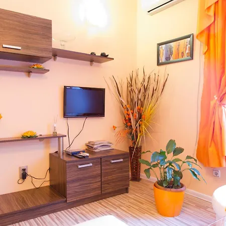 Apartment Orange Flower Sofia