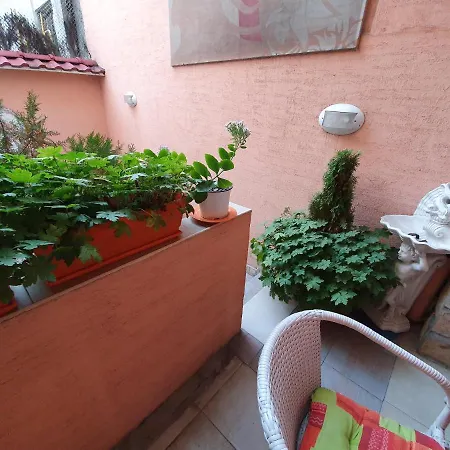 Orange Flower Apartment